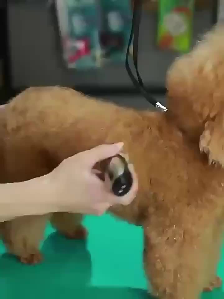 KAHL Pet Grooming Kit