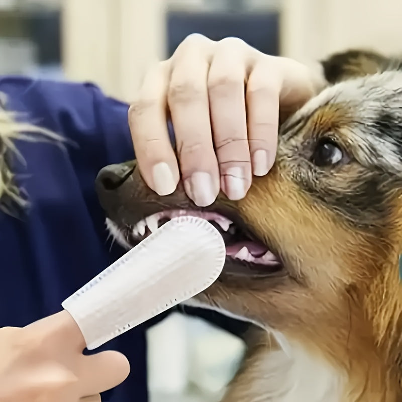 PawsPals 100-Pack Dog Ear & Teeth Cleaning Finger Wipes