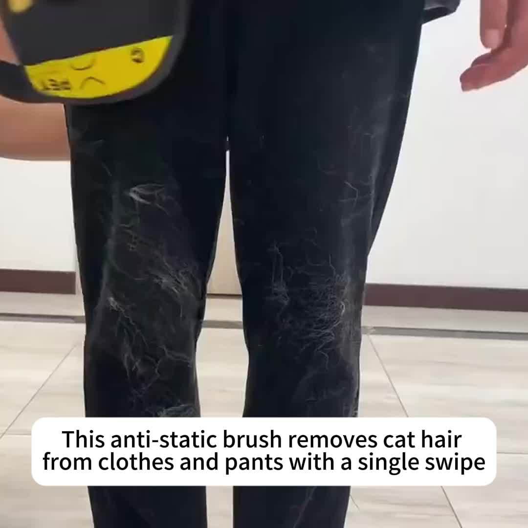 Black Polypropylene Pet Grooming Gloves