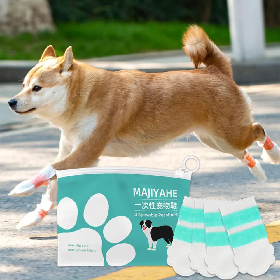 Cute Dog Shoes
