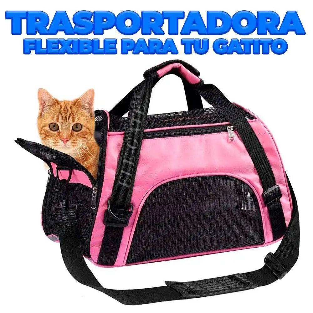 Pet Carrier for Airline Travel