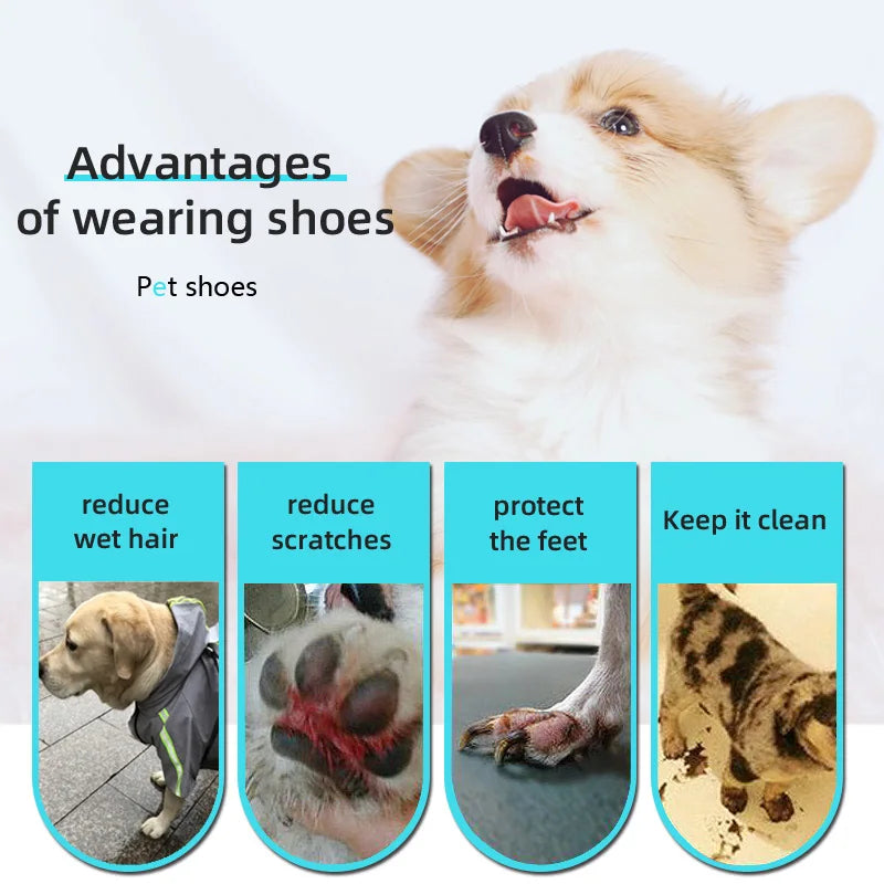 Cute Dog Shoes