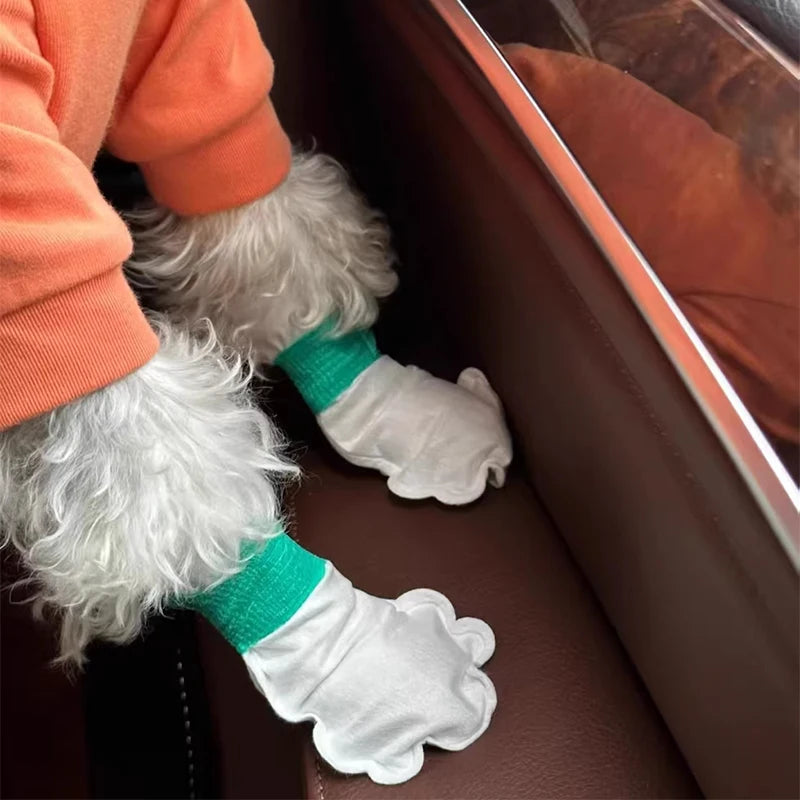 Cute Dog Shoes
