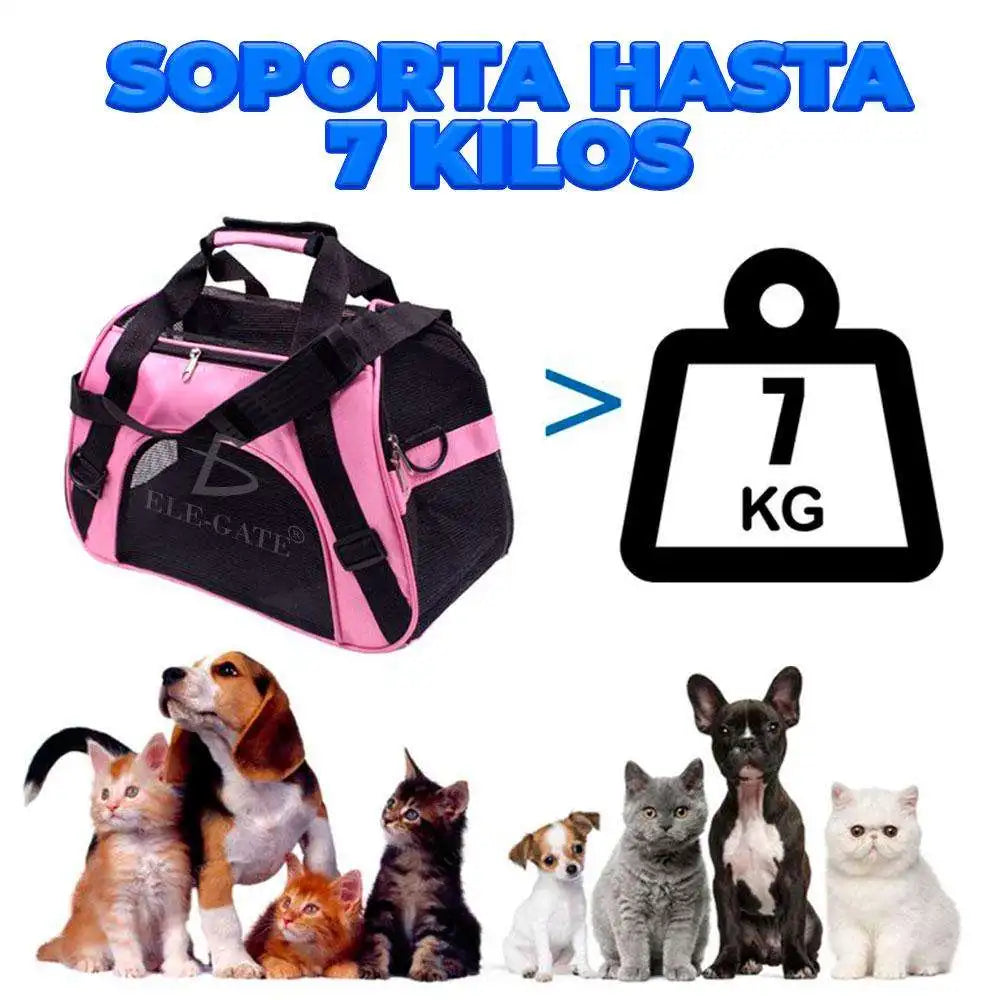 Pet Carrier for Airline Travel