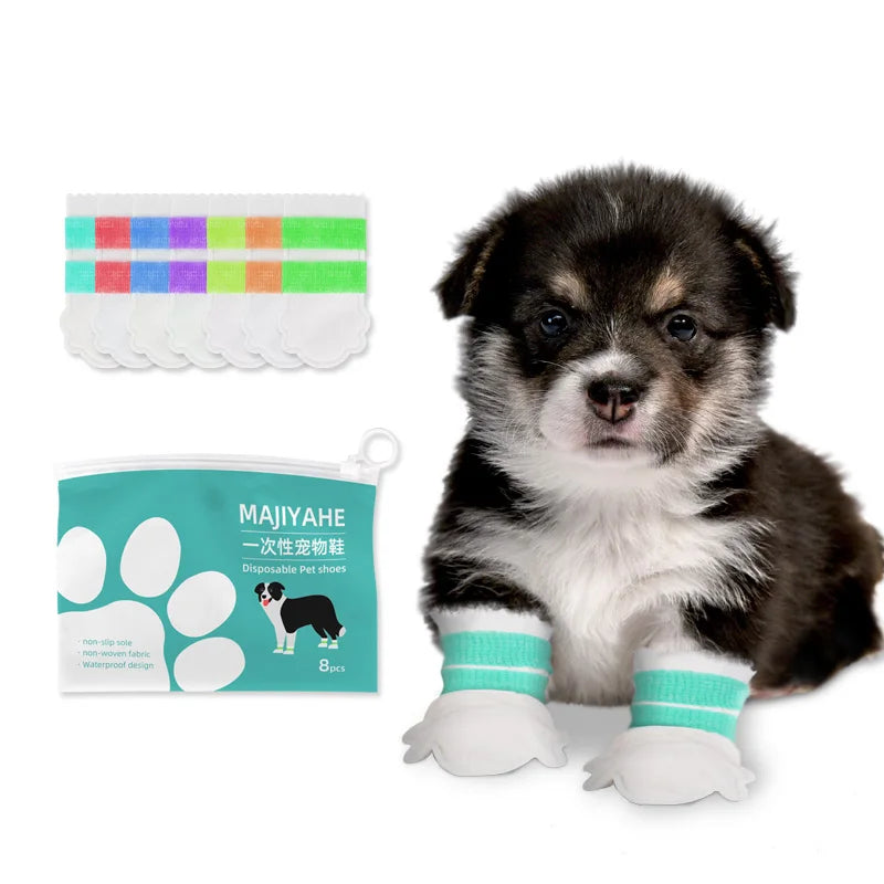 Cute Dog Shoes