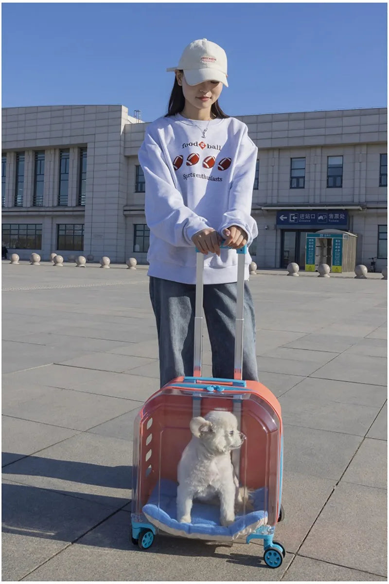 Pet Cat Carrier Out Trolley Case