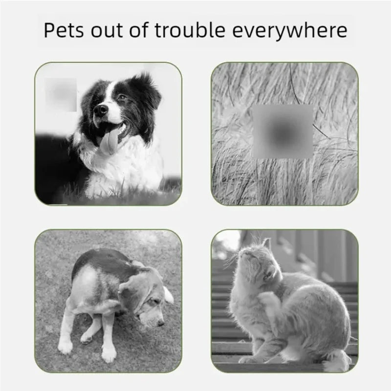 Pet essential Oil Herbal Fragrance