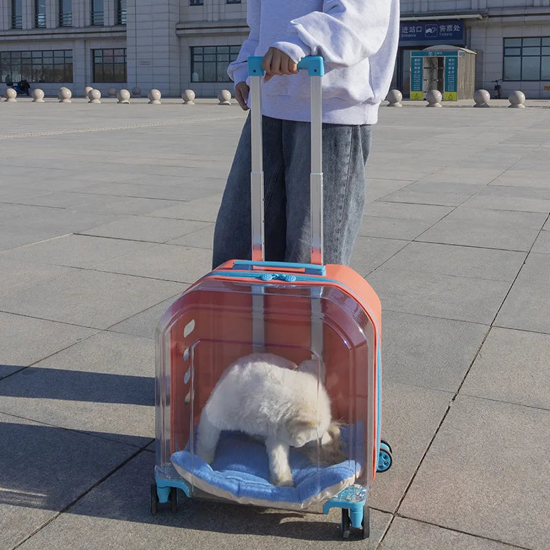 Pet Cat Carrier Out Trolley Case