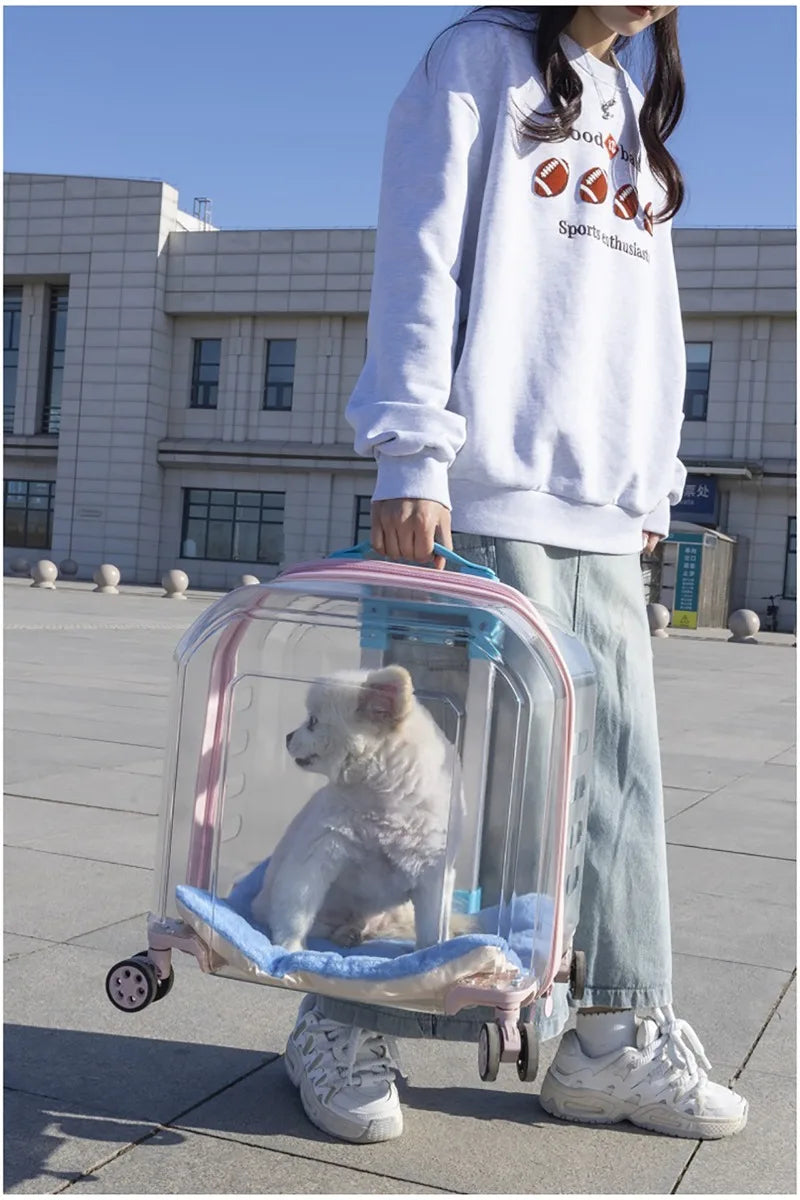 Pet Cat Carrier Out Trolley Case