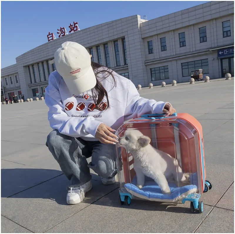 Pet Cat Carrier Out Trolley Case