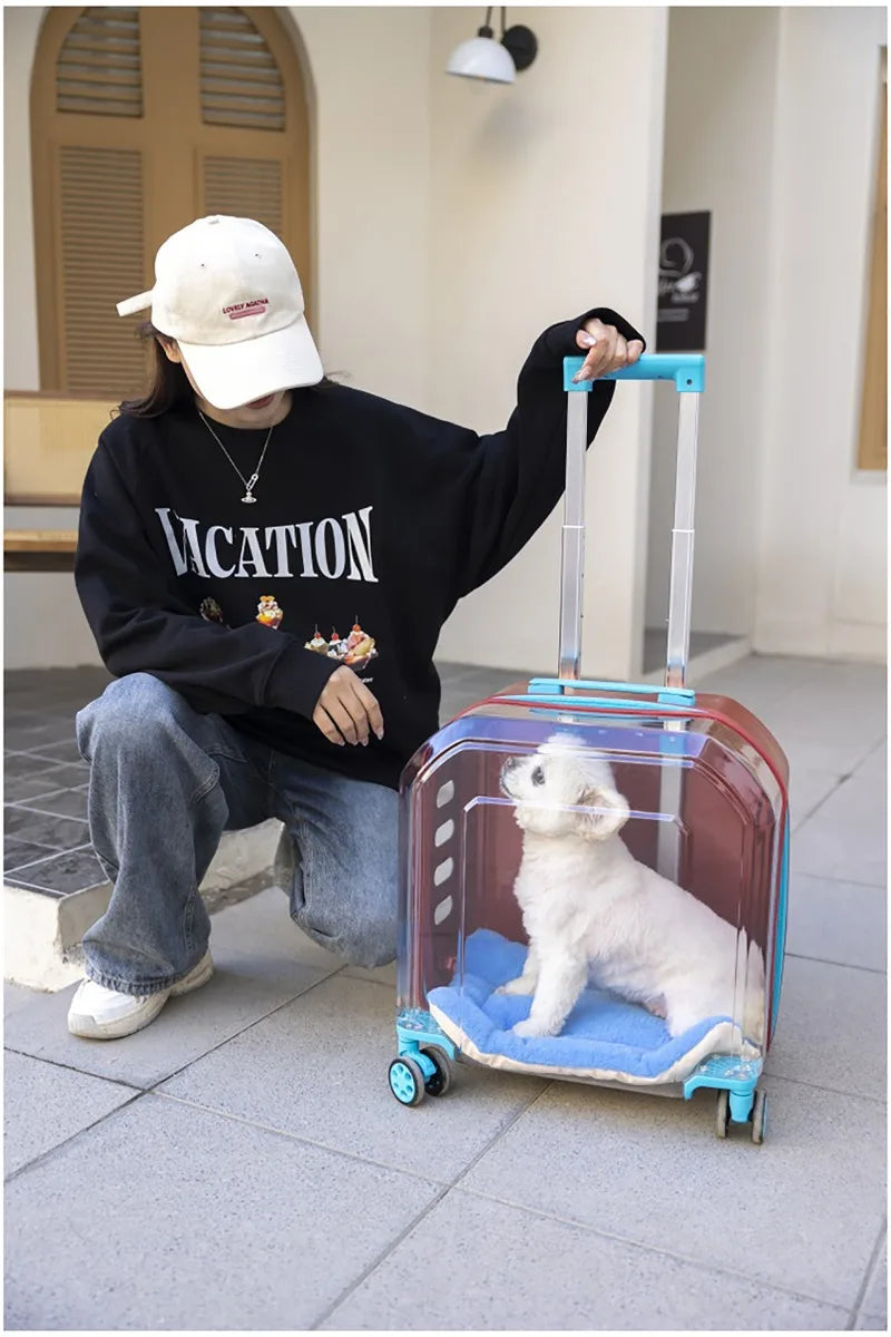 Pet Cat Carrier Out Trolley Case