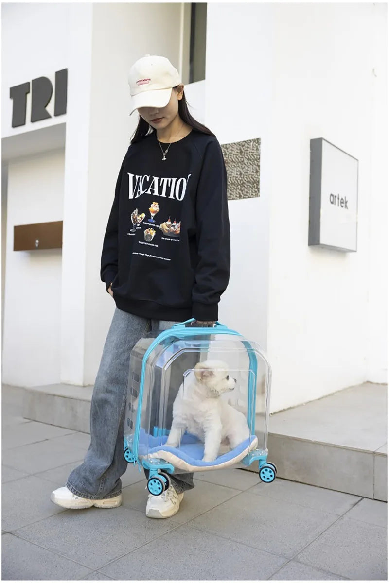 Pet Cat Carrier Out Trolley Case