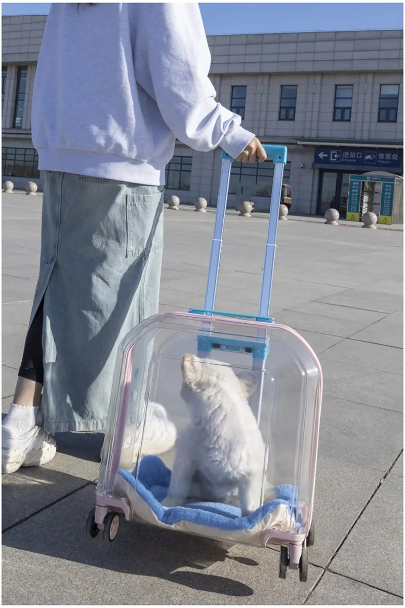 Pet Cat Carrier Out Trolley Case