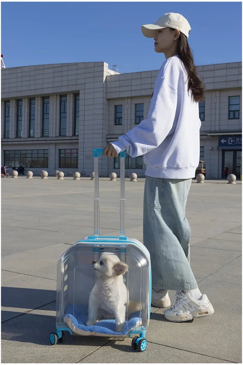 Pet Cat Carrier Out Trolley Case