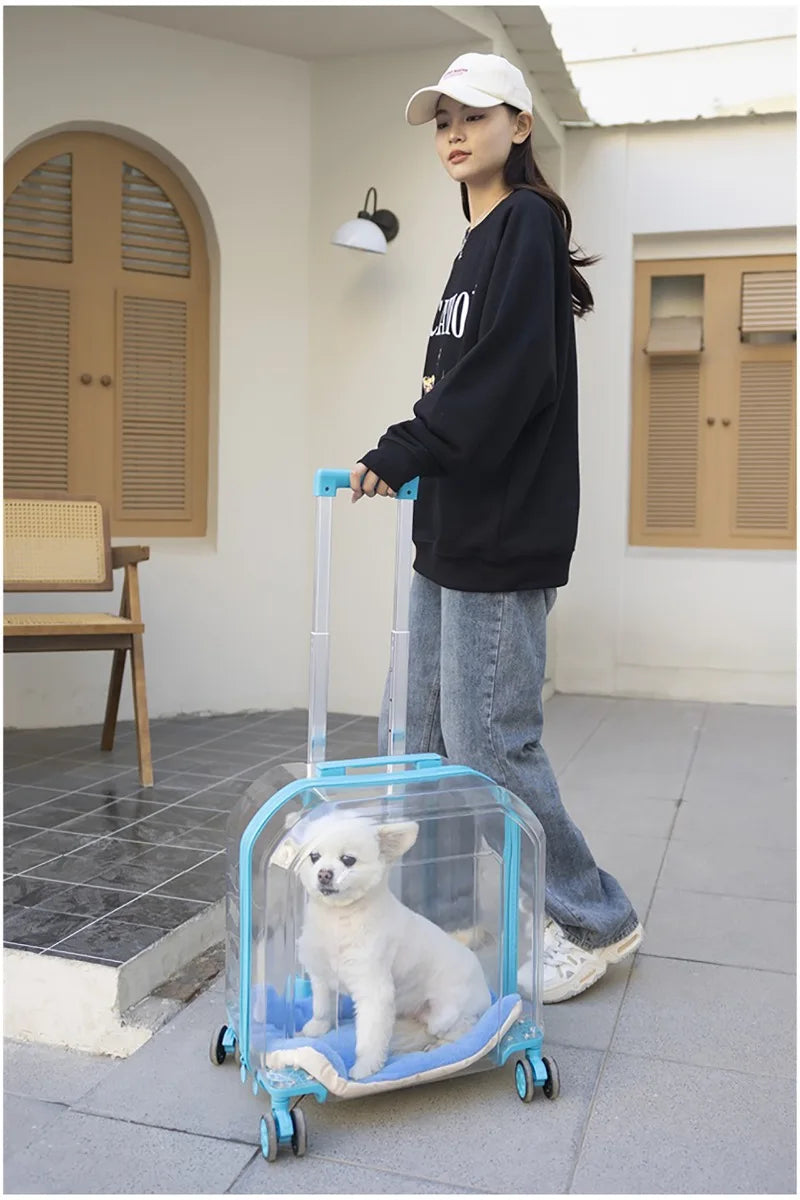 Pet Cat Carrier Out Trolley Case