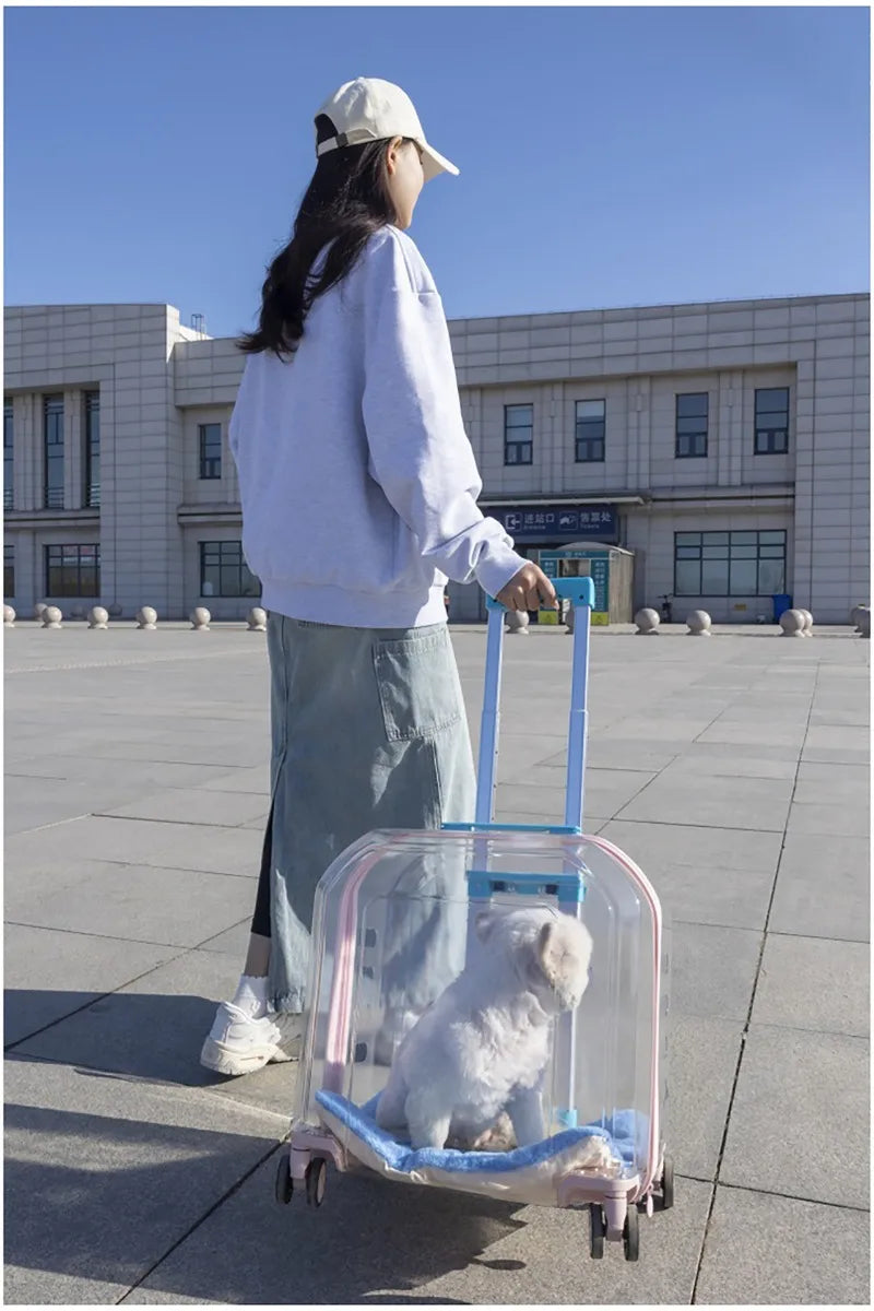 Pet Cat Carrier Out Trolley Case