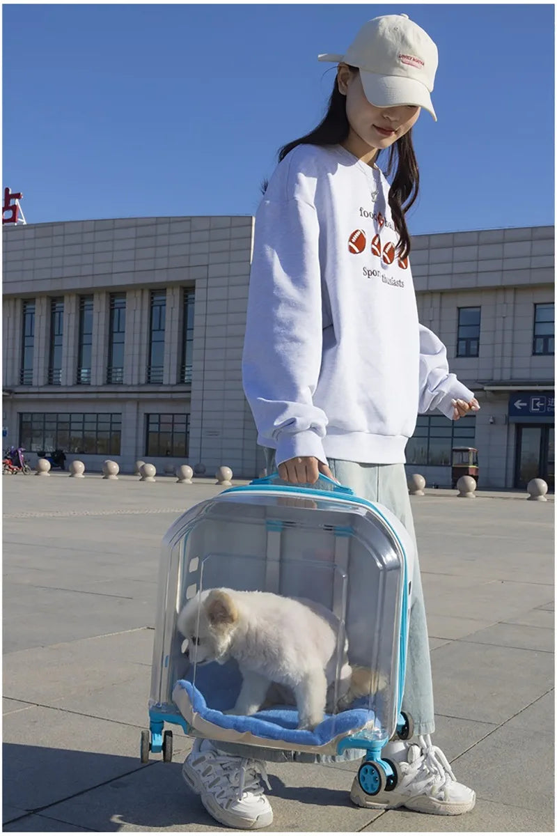 Pet Cat Carrier Out Trolley Case