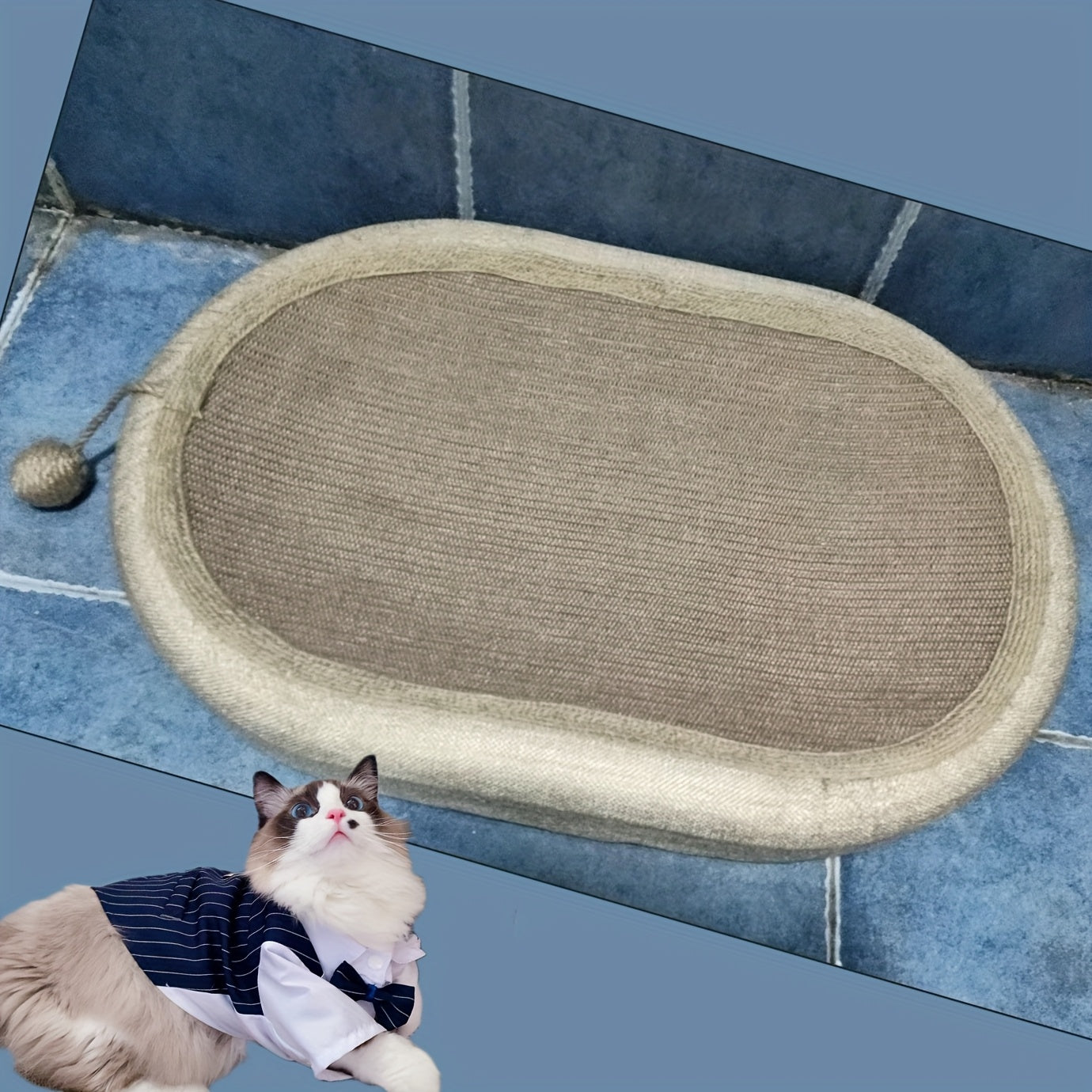 Cat Scratching Board & Bed Integrated Toy Ball Se