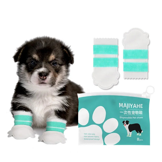 Cute Dog Shoes