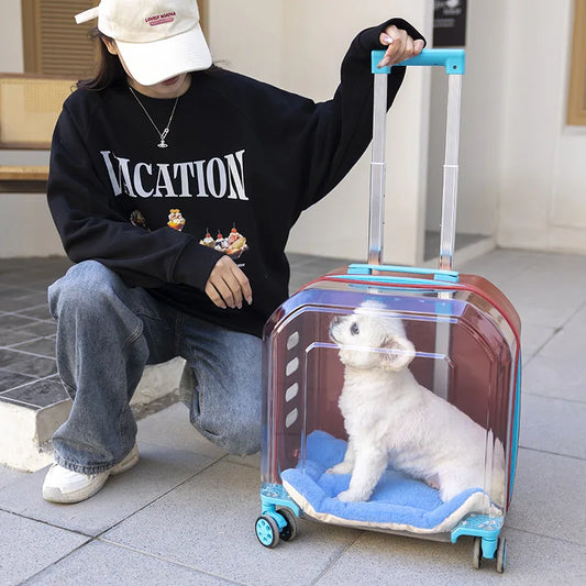 Pet Cat Carrier Out Trolley Case