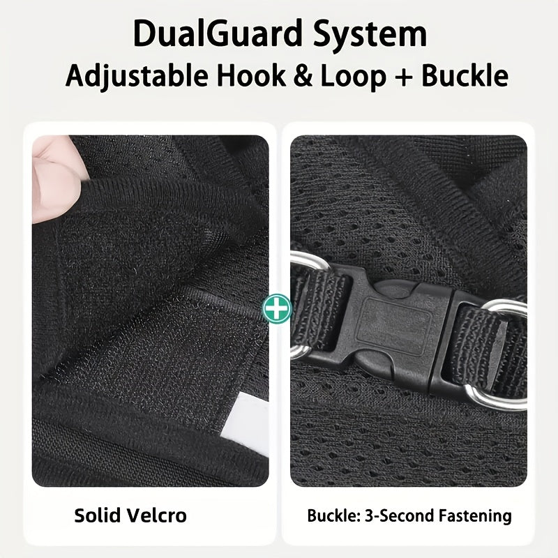 4pcs Spring/Summer Adjustable Breathable Pet Dog and Cat Harness Set